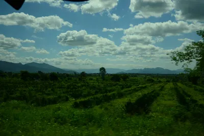 DSC_9678 (Large).JPG